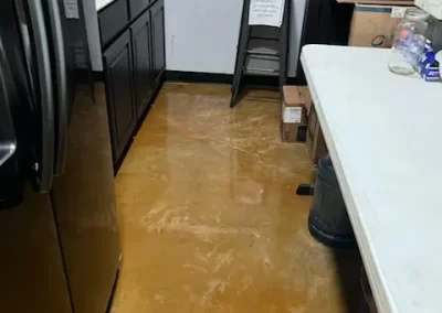 Quality Home Cleaner