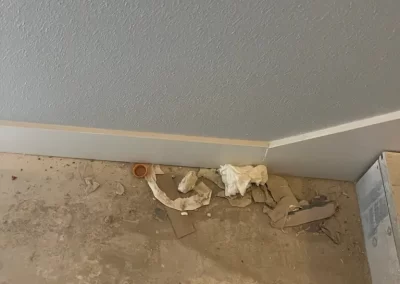 Reliable Home Cleaner